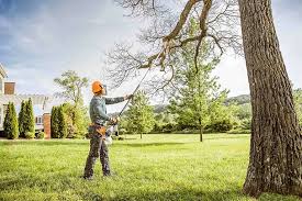 Best Emergency Tree Removal  in Green Valley, SD