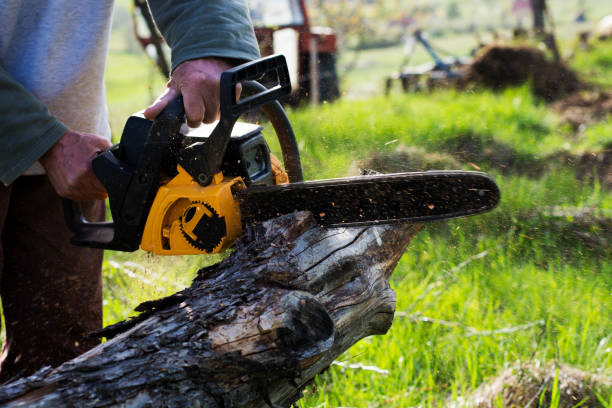 Best Commercial Tree Services  in Green Valley, SD