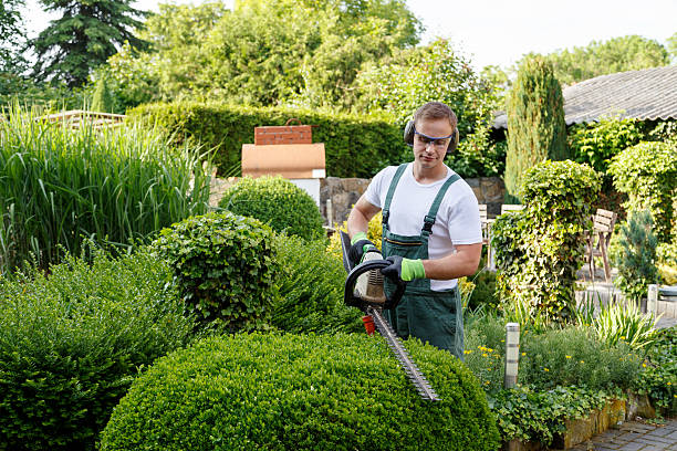 Best Landscape Design and Installation  in Green Valley, SD